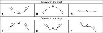 Recent Developments in the Dynamic Stability of Elastic Structures